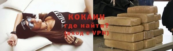 мдпв Гусь-Хрустальный