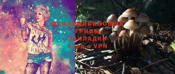 мдпв Гусь-Хрустальный