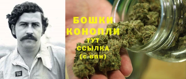 мдпв Гусь-Хрустальный