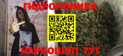 гашик Ирбит