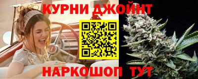 гашик Ирбит