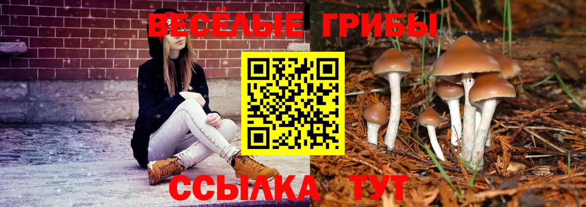 Галлюциногенные грибы прущие грибы  Галлюциногенные грибы Psilocybine cubensis  Обь  закладки  Вход с VPN 